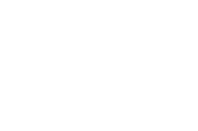 CarClean.com